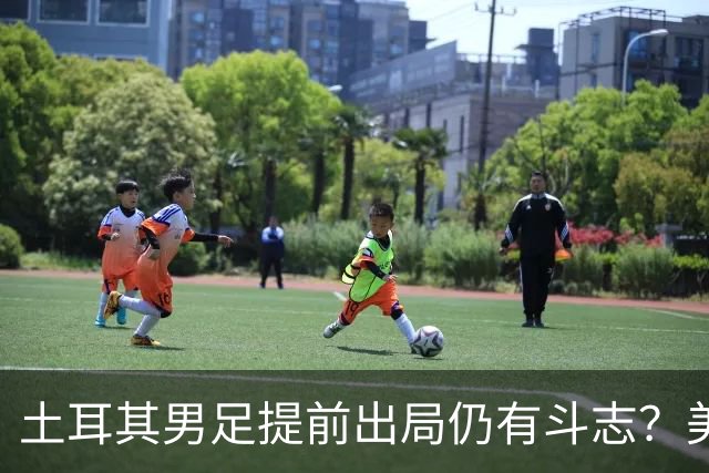 土耳其男足提前出局仍有斗志？美国队已稳获小组第一！