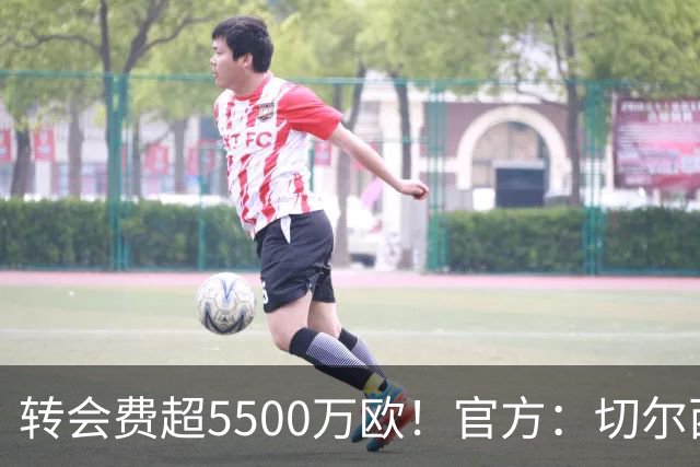 转会费超5500万欧！官方：切尔西签下21岁帕莱斯特拉，签约7年